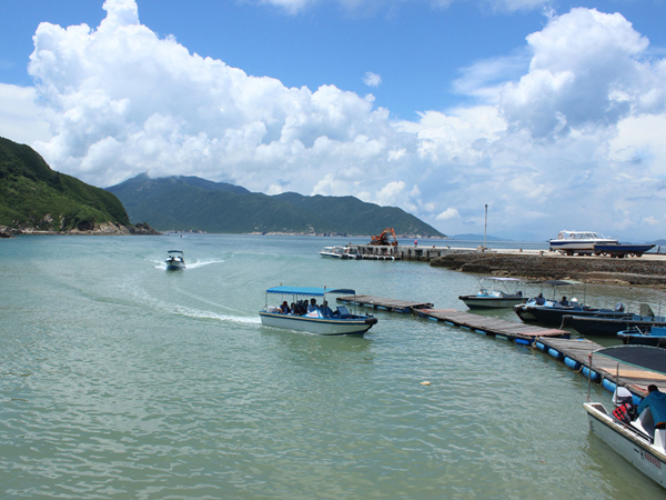 群英荟萃三门岛，文韬武略决霸主