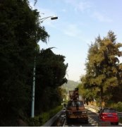 j9国际集团可调光LED路灯进军深圳